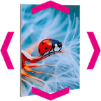 Produkt_1