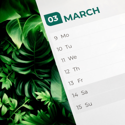 Individuelle Wochenkalender im Corporate Design drucken | Wochenwandkalender personalisiert